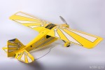 Parkzone Super Decathlon BL вид сзади